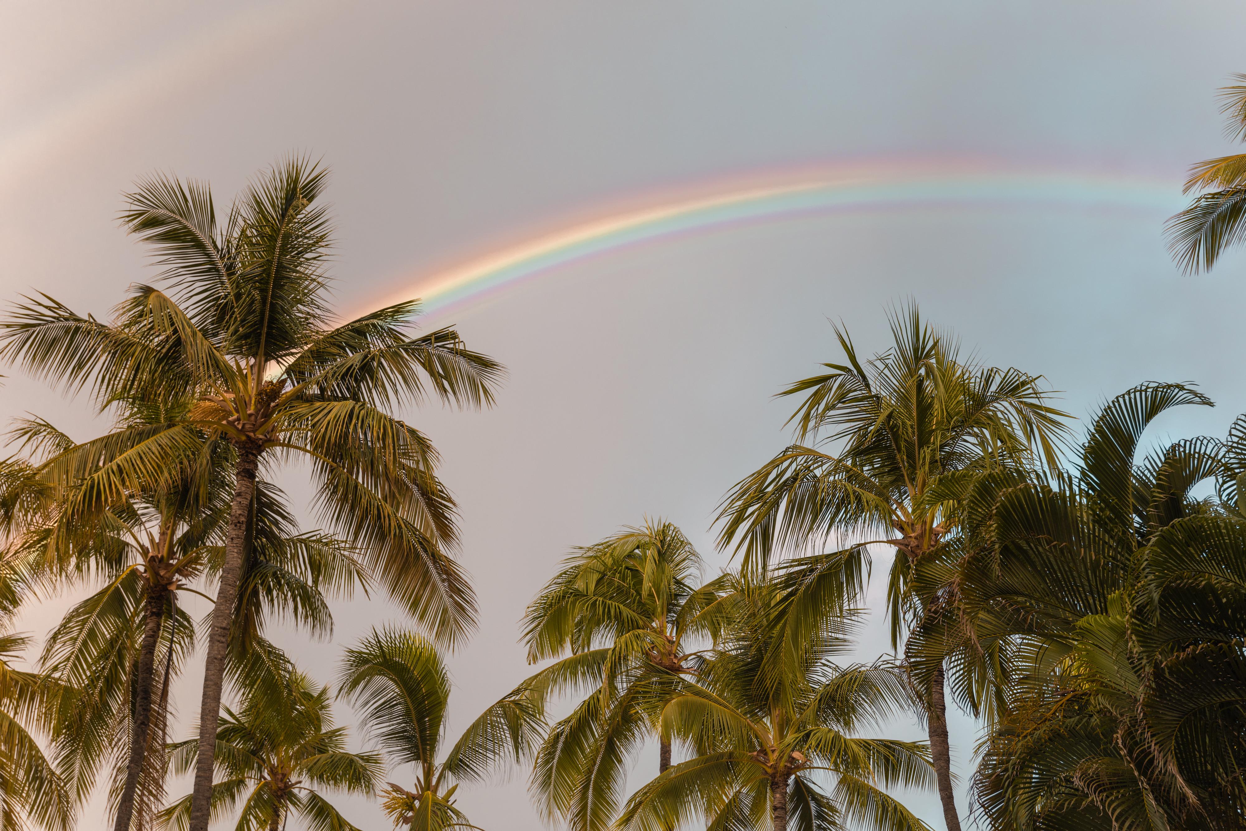 Ohia Waikiki Studio Suites Honolulu Ngoại thất bức ảnh